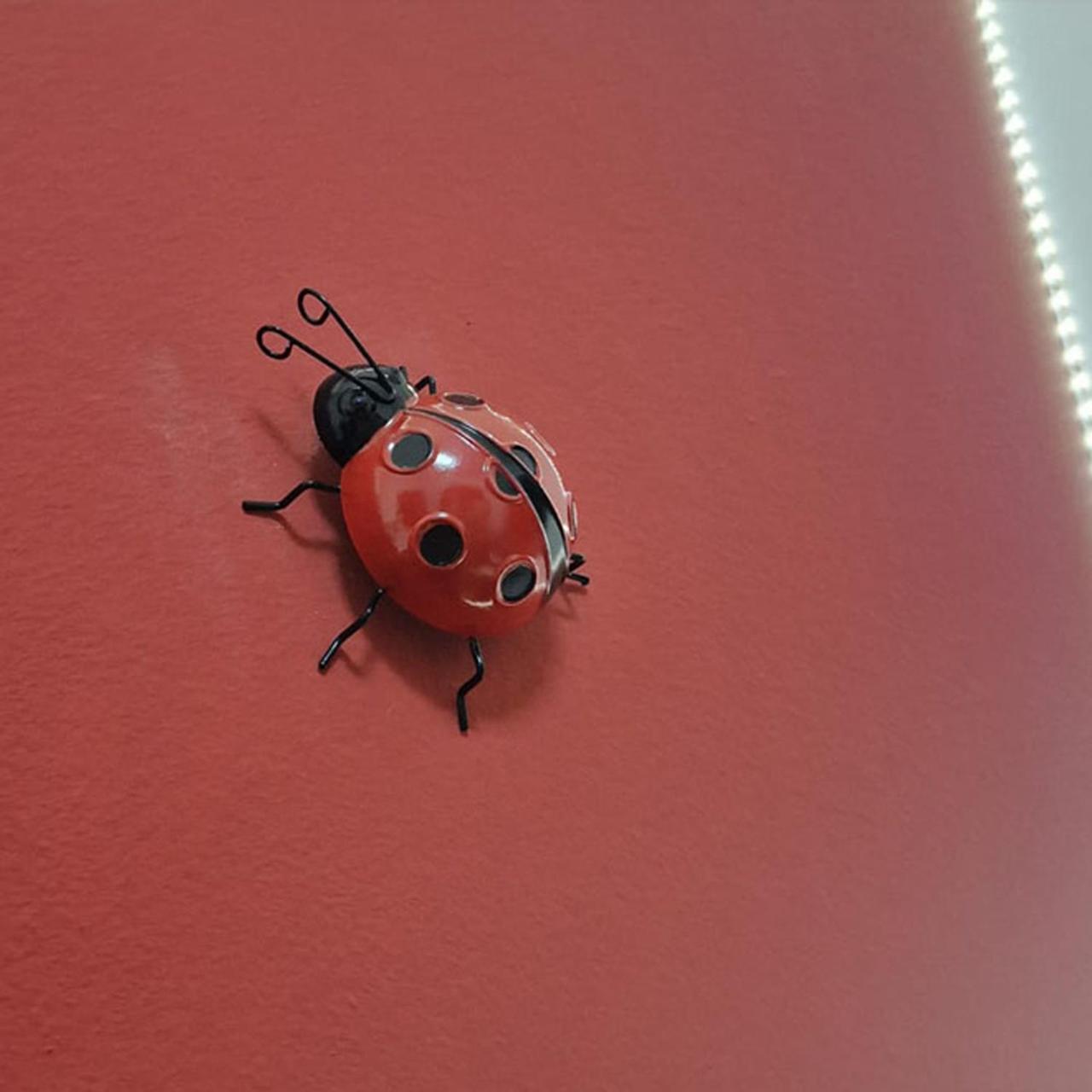 Casa Fortunata Con Parcheggio Livorno Zewnętrze zdjęcie